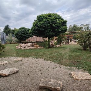 African Lions Exhibit