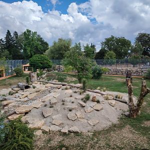 African Lions Exhibit