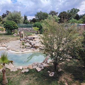 African Lions Exhibit