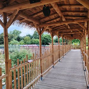 African Lions Exhibit