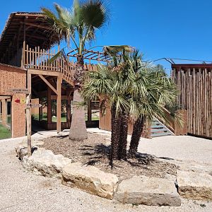 African Lions Exhibit