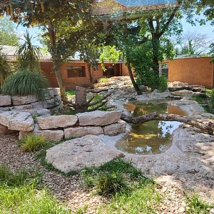 New Bush Dogs Exhibit