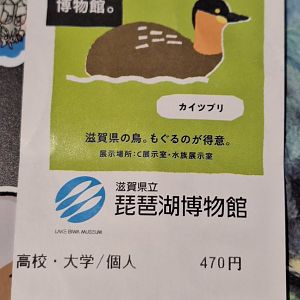 Ticket - Lake Biwa Museum