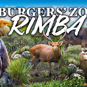RIMBA (Jungle) | Zoo Tours