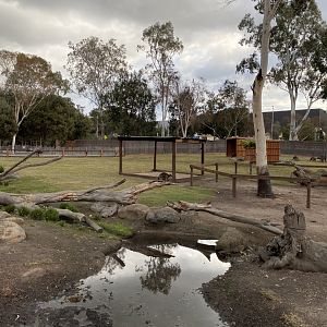 Kangaroo, Emu and Wallaby exhibit
