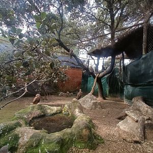 Kite exhibit - GREFA