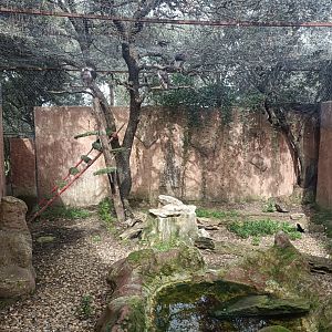 Bonelli's eagle exhibit - GREFA