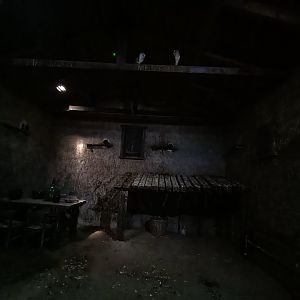 Western barn owl exhibit - GREFA