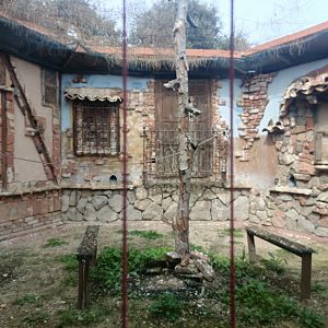 Krestel exhibit - GREFA