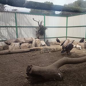 Mixed exhibit - GREFA