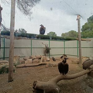 Mixed exhibit - GREFA