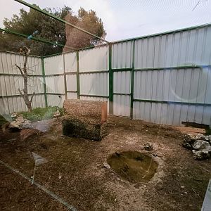 Great bustard exhibit - GREFA