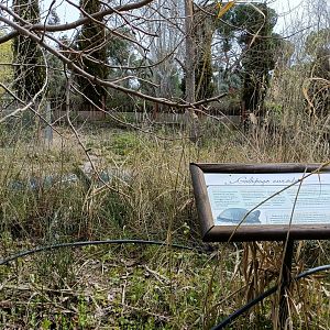 European pond turtle exhibit - GREFA