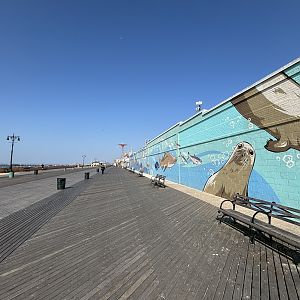 Aquarium mural on Coney Island