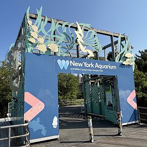 Aquarium Entrance Area