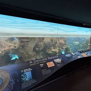 Coral Reef Exhibit