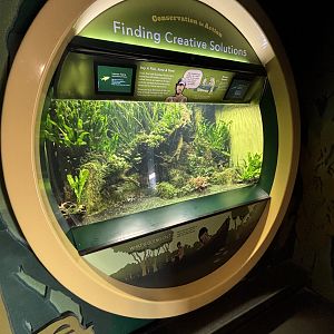 Finding Creative Solutions Exhibit