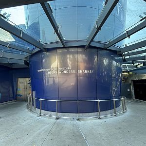 Ocean Wonders: Sharks!