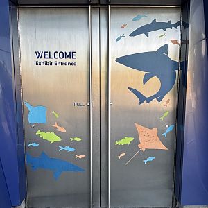 Ocean Wonders: Sharks!