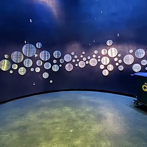 Ocean Wonders: Sharks!