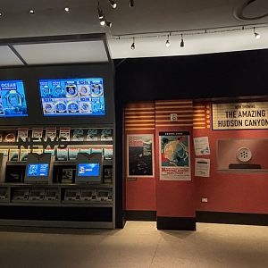 Ocean Wonders: Sharks!