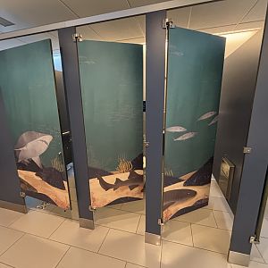 Ocean Wonders: Sharks!