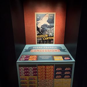 Ocean Wonders: Sharks!