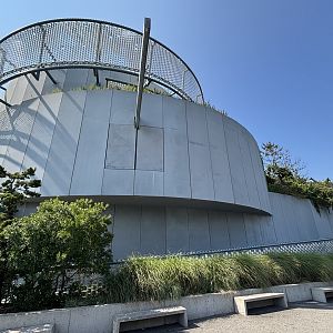 Ocean Wonders: Sharks!