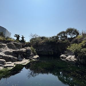 African Penguin Exhibit