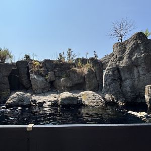 Sea Otter Exhibit