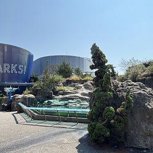 Ocean Wonders: Sharks! + African Penguin Exhibit