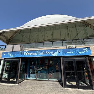 Oceanic Gift Shop