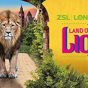 Land of the Lions Tour - The Virtual Zoo on yt
