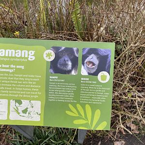 Saimang Signage