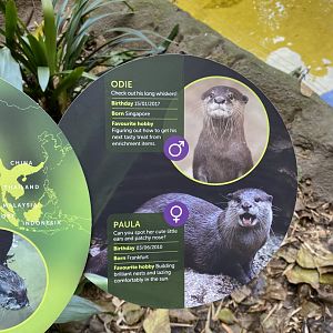 Asian Short Clawed Otter Signage
