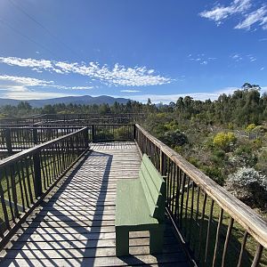 View of African lion enclosure and bridge