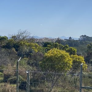 View of the Birds of Eden aviary from the lion bridge