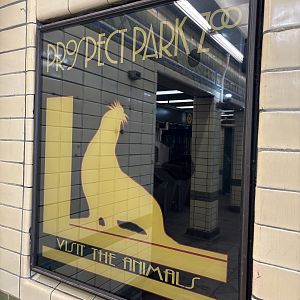 Zoo Poster - at subway station