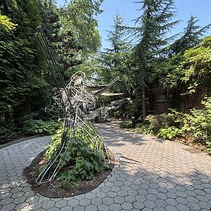 Pathway + Chameleon Statue