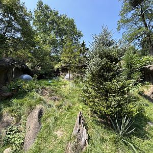 Pudu Exhibit - with pop-up bubbles