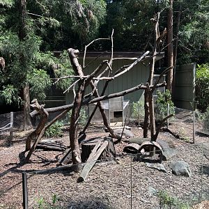 North American Porcupine Exhibit