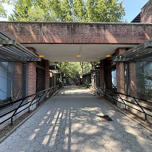 Aviaries + Pallas’s Cat Exhibit