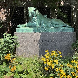Lioness Statue + Flowers