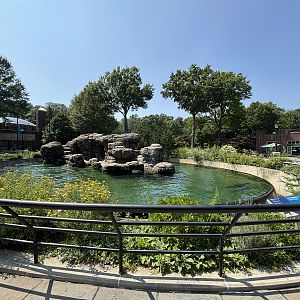 California Sea Lion Exhibit
