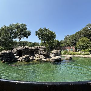 California Sea Lion Exhibit