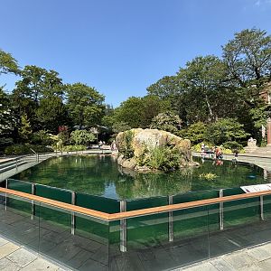 California Sea Lion Exhibit
