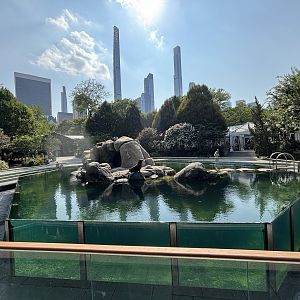 California Sea Lion Exhibit
