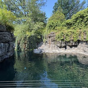 Harbour Seal Exhibit