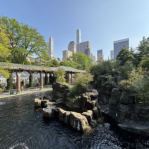 Japanese Macaque Exhibit