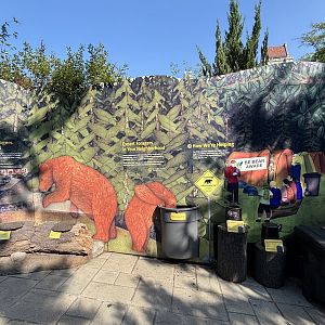 Brown Bear Educational Material